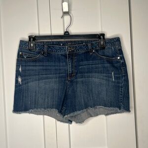 Jennifer Lopez Raw Hem Jean Shorts Women's Plus Size 16